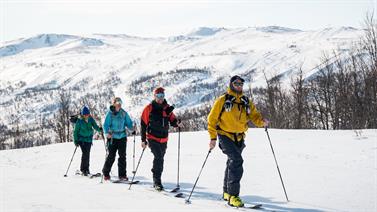 Image for: Hamra Syd